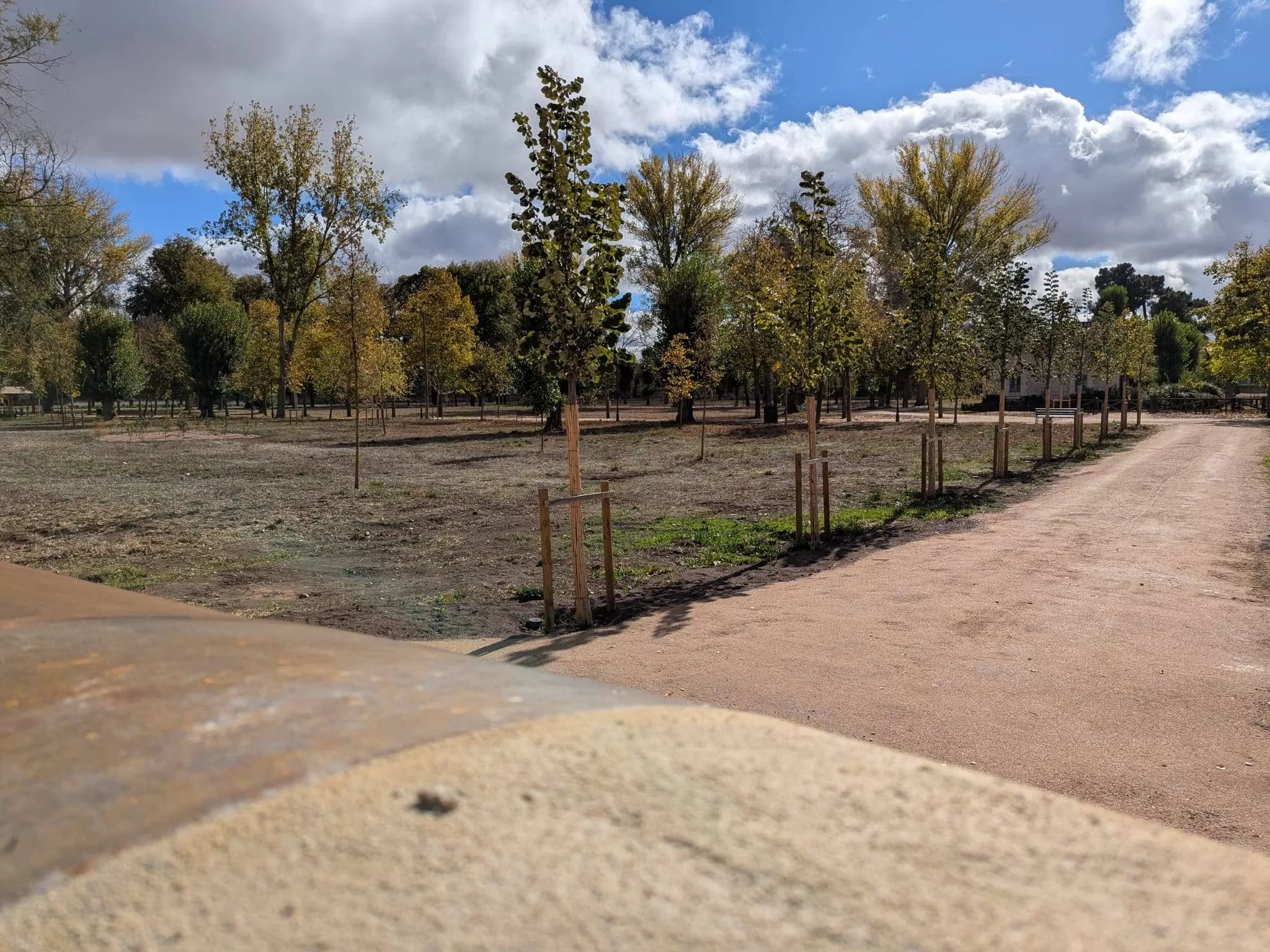 El PSOE apela a los informes técnicos para pronunciarse sobre el Curpillos