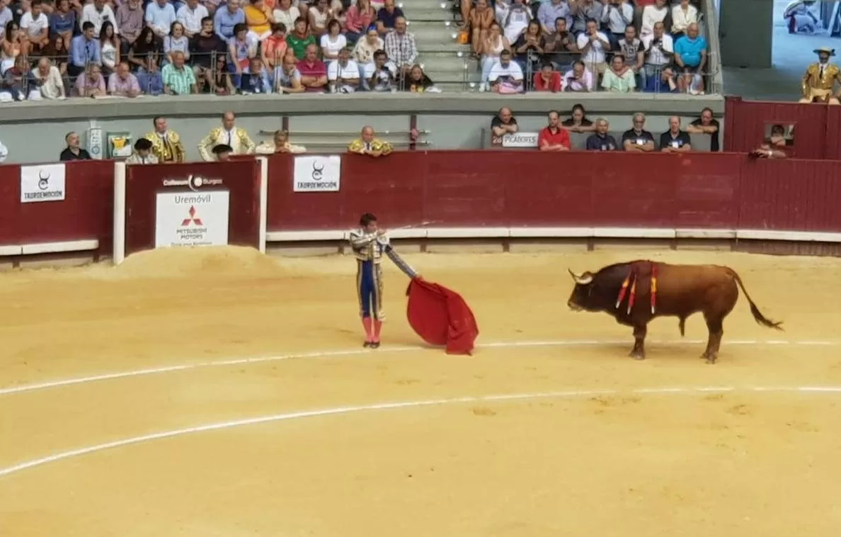 El Ayto de Burgos prorroga el contrato a Tauroemoción para la feria taurina 2026