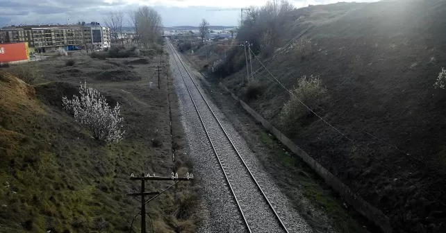 La Plataforma por el Ferrocarril pide modernizar el corredor central  