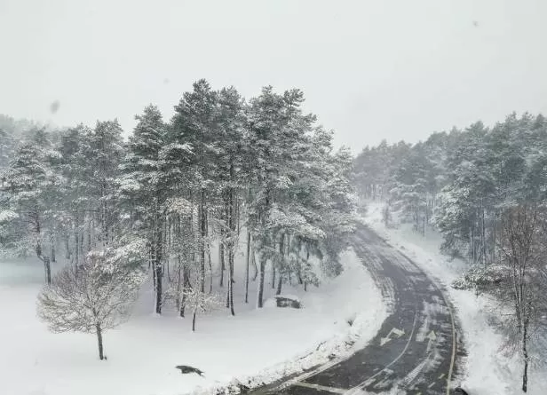 Aviso amarillo por nieve en la Cordillera Cantábrica de Burgos