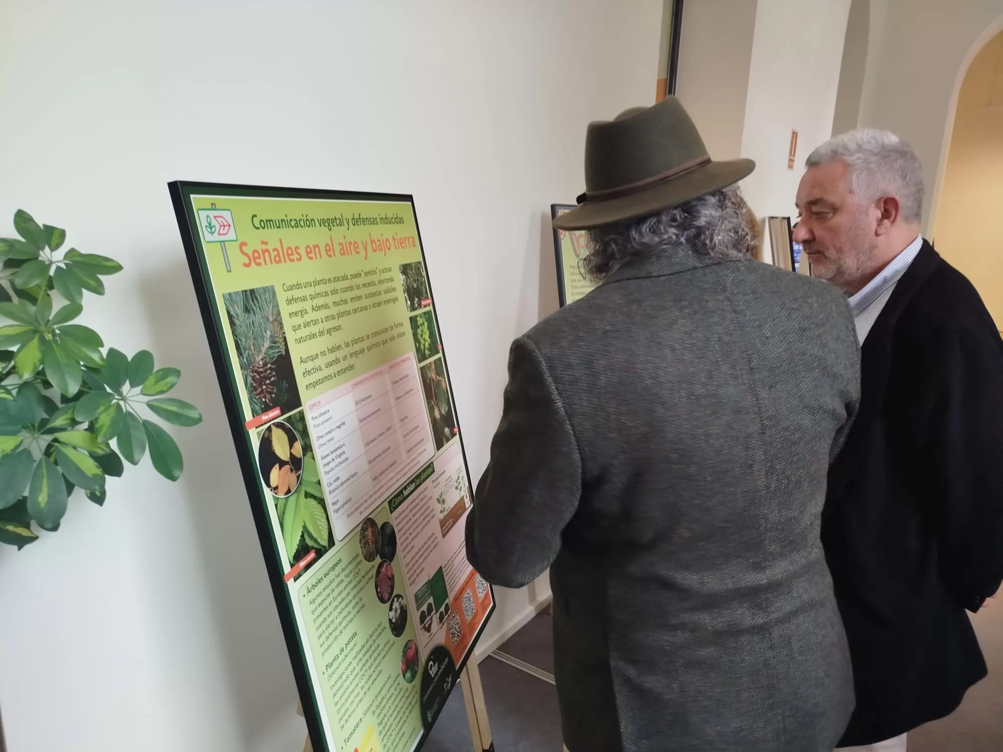 Una exposición sobre inteligencia vegetal recorre los centros cívicos de Burgos
