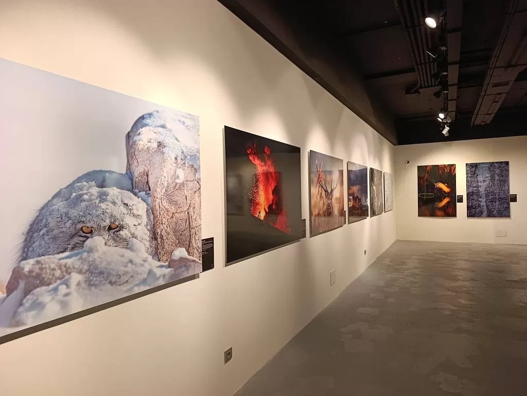 Burgos, escaparate mundial de la naturaleza con una exposición fotográfica única 