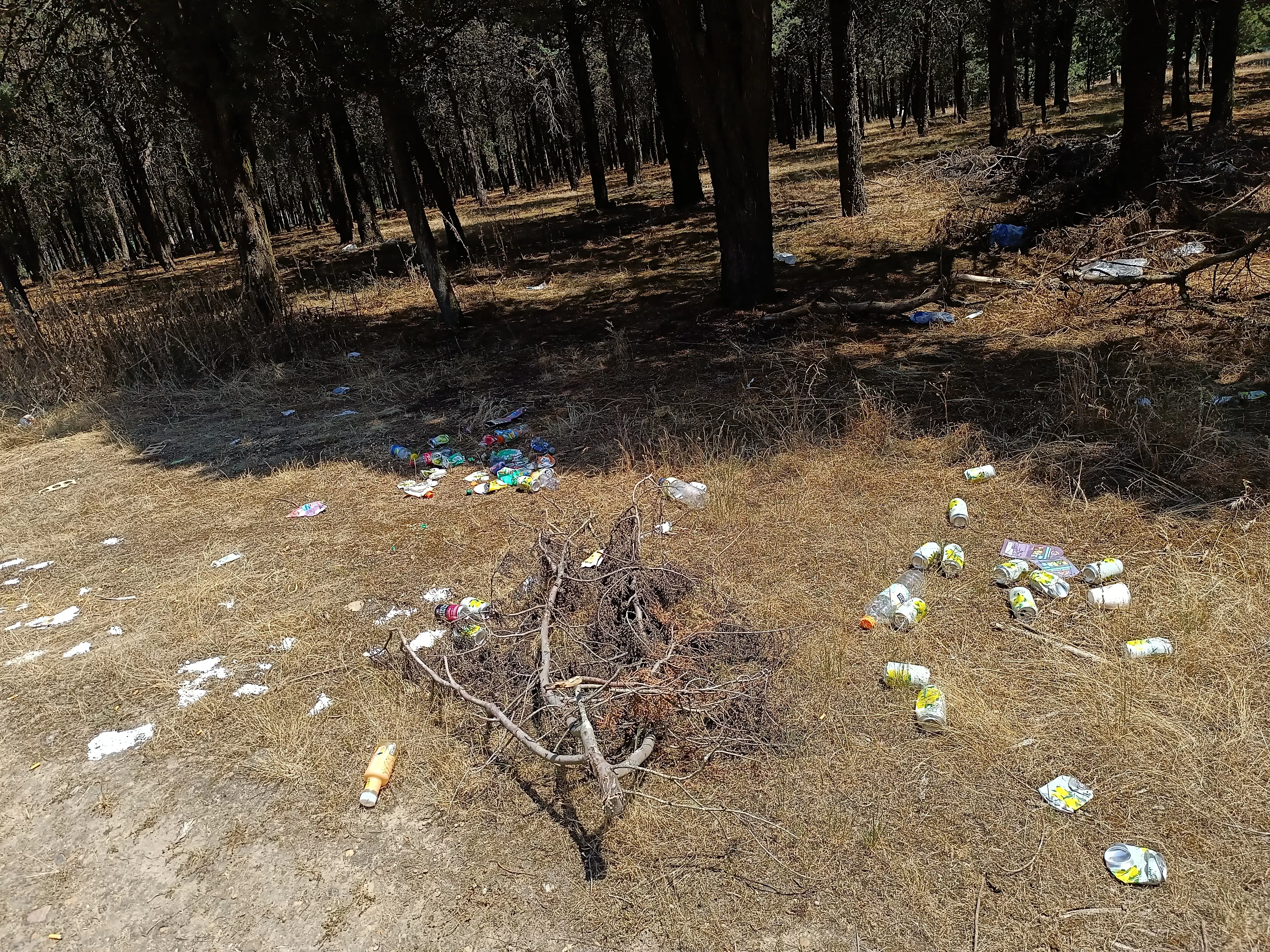 Acumulación de basura en el pinar junto al campo de tiro de Burgos
