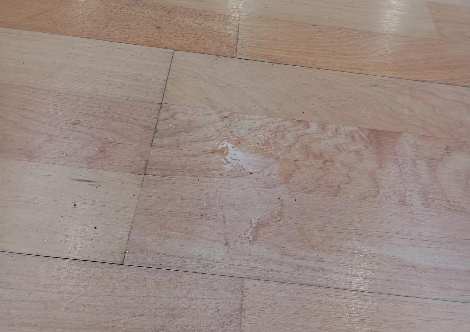 'El cuento de nunca jamás' con las goteras en el Polideportivo Lavaderos