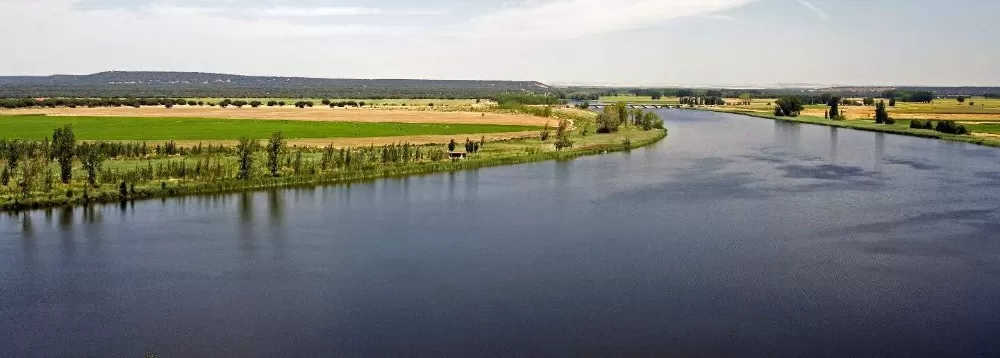 Conoce las Riberas de Castronuño en Valladolid, el paraíso de las aves