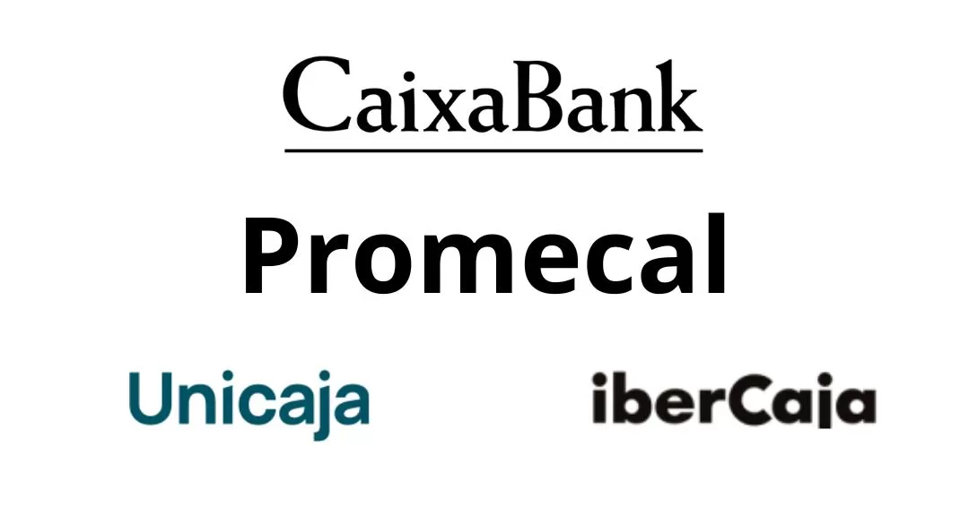 El Grupo de Comunicación Promecal al borde del precipicio 
