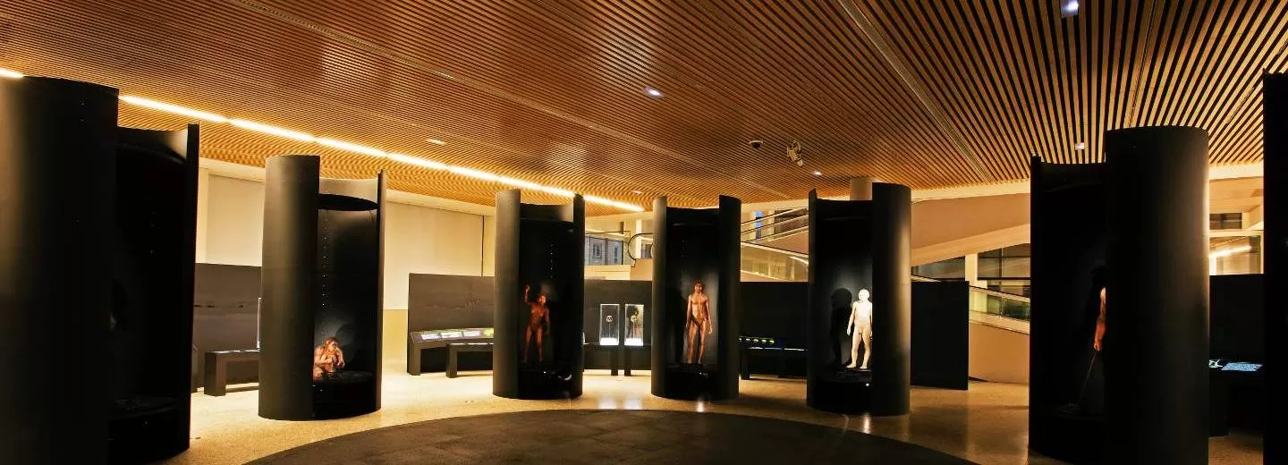 Museo de la Evolución Humana, una respuesta única a nuestros orígenes