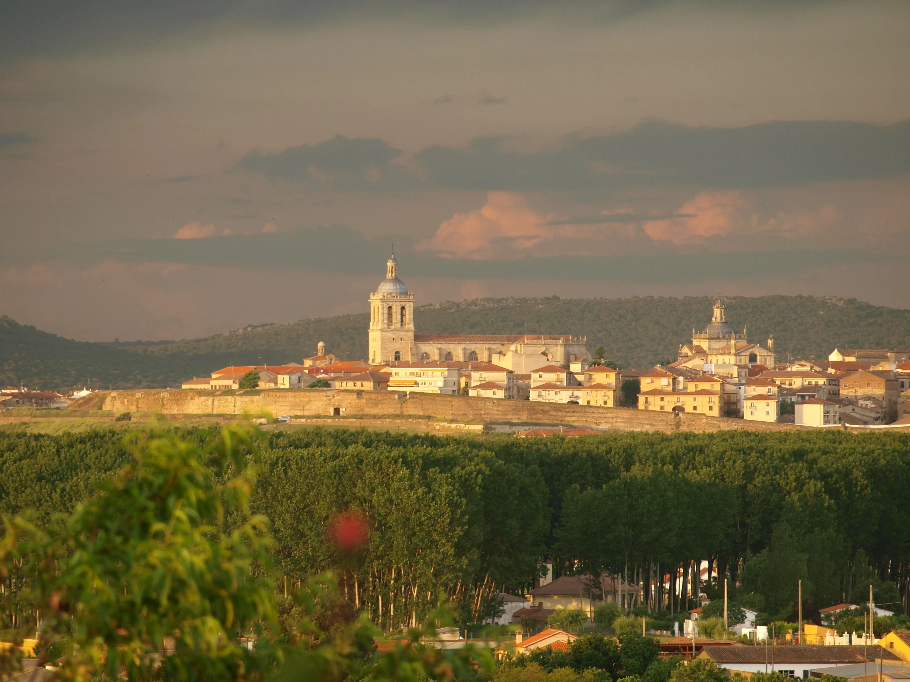 Los Tesoros de Ciudad Rodrigo