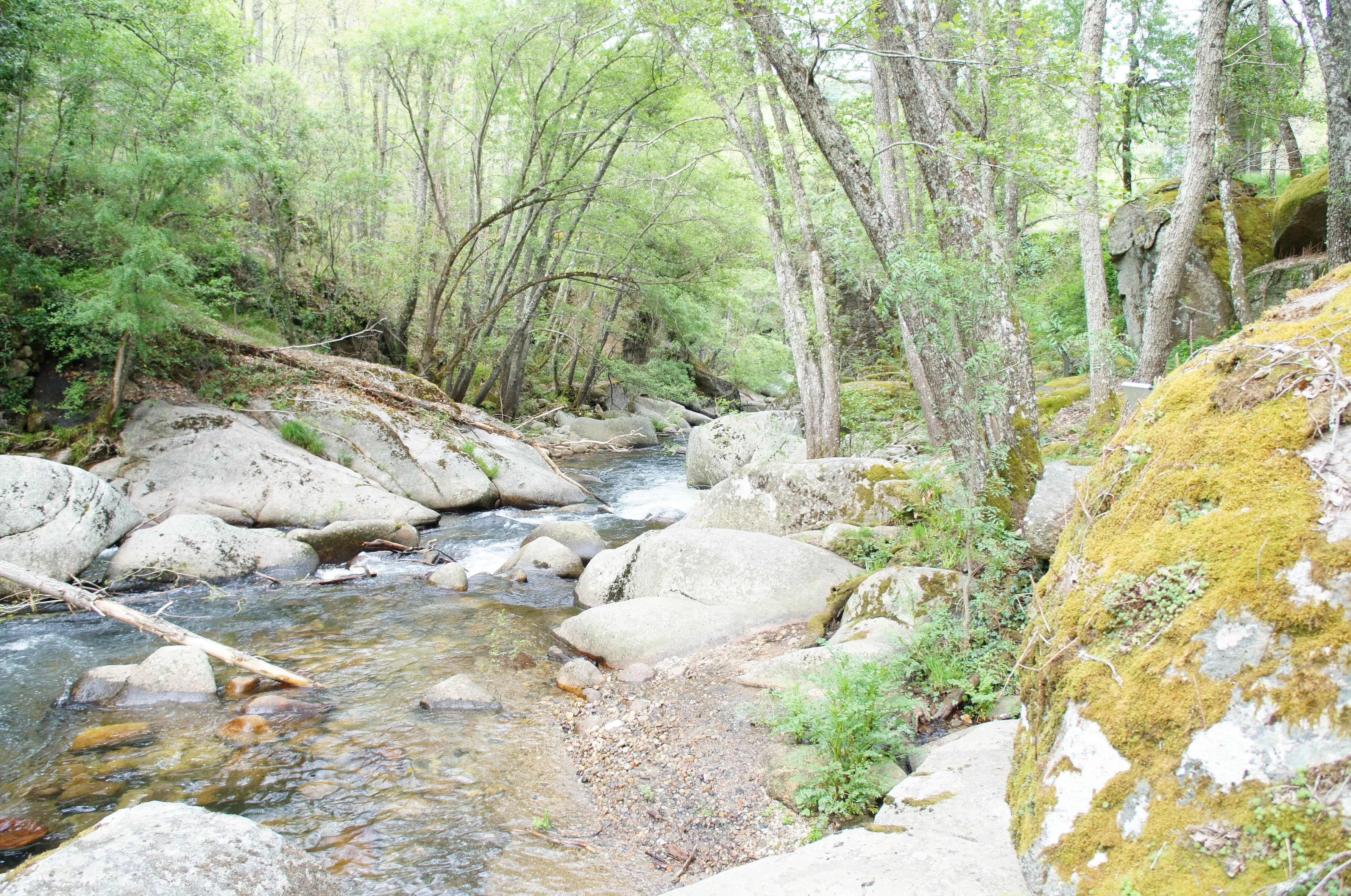 Descubre las maravillas de la Sierra de Francia