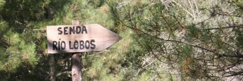 Parque Cañón de Río Lobos, naturaleza al alcance de todos